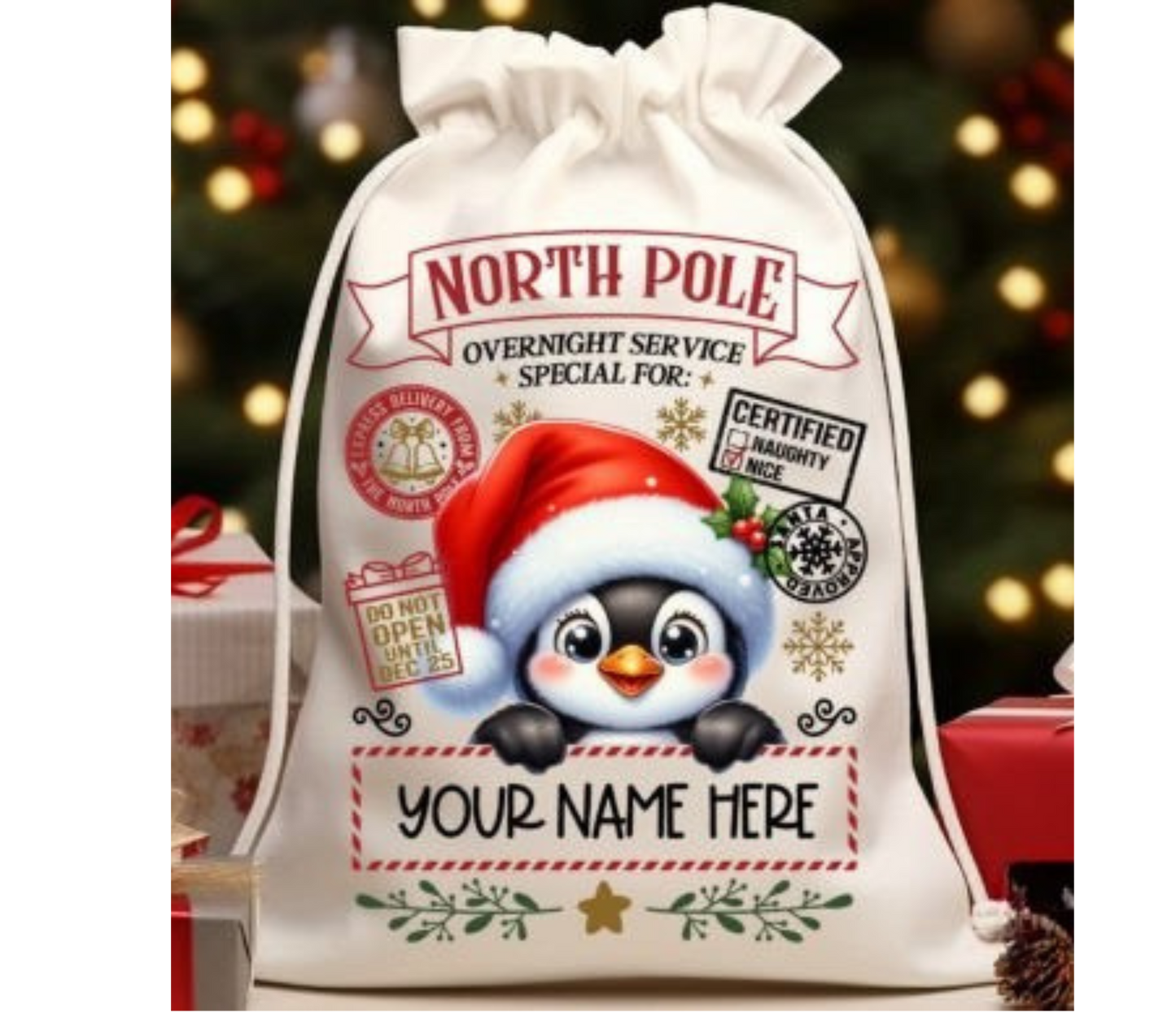 North Pole Penguin Santa Sack