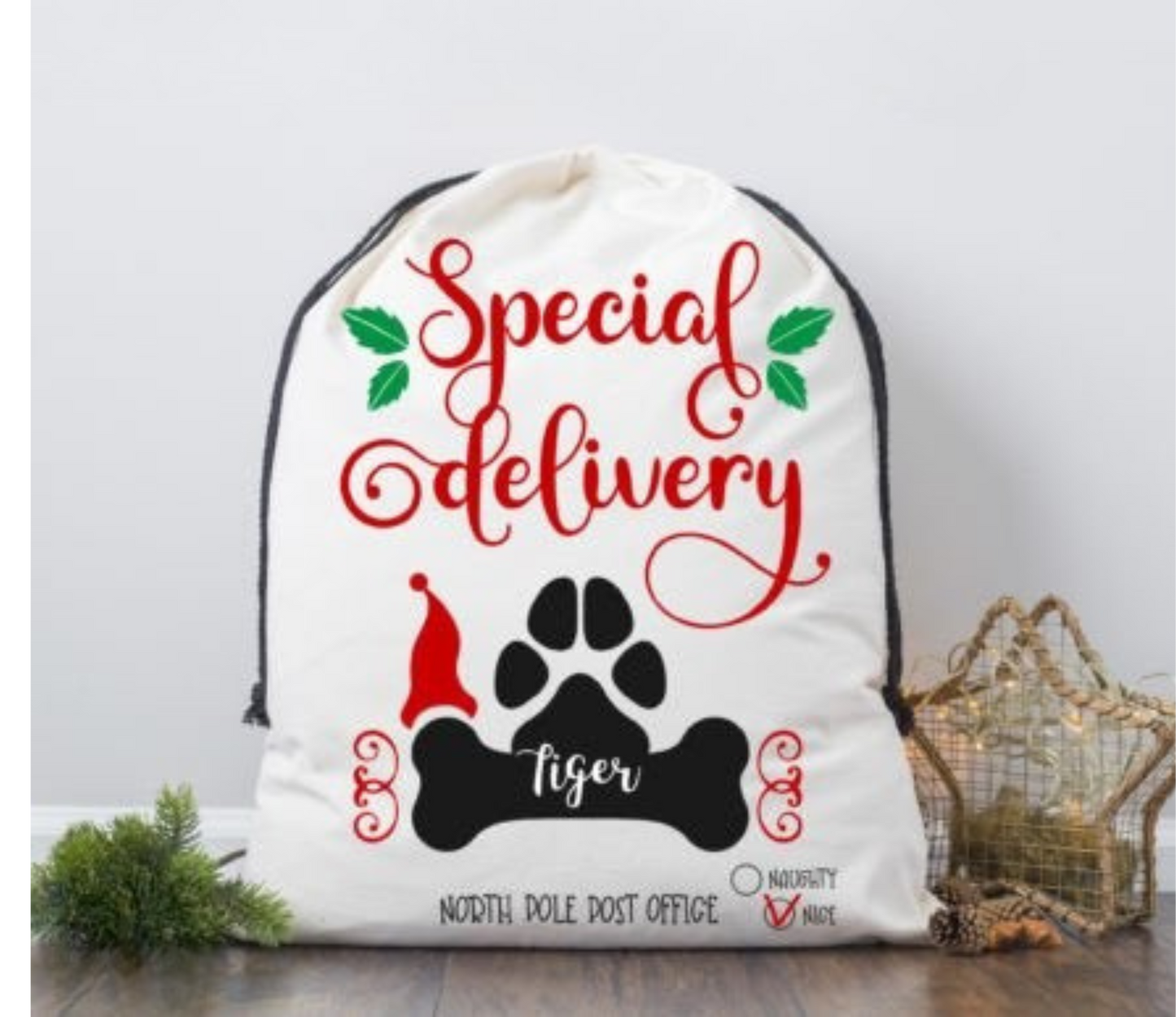 Paws Santa Sack