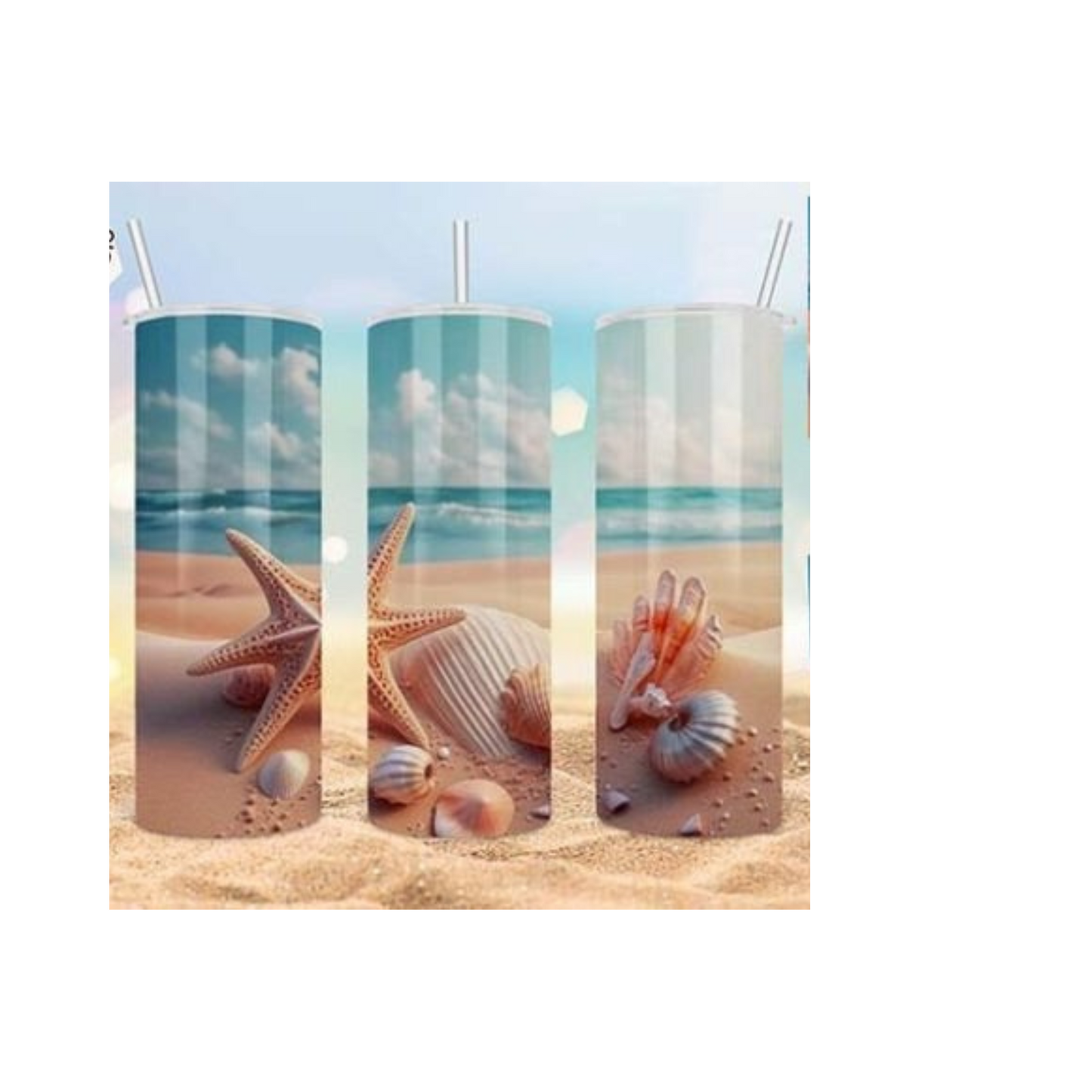 Seashell Beach